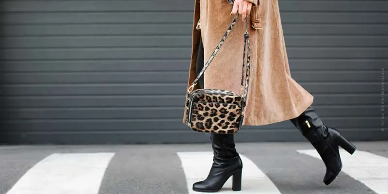 Animal patterns: Fashion trends - jacket, shoes, coats & co.