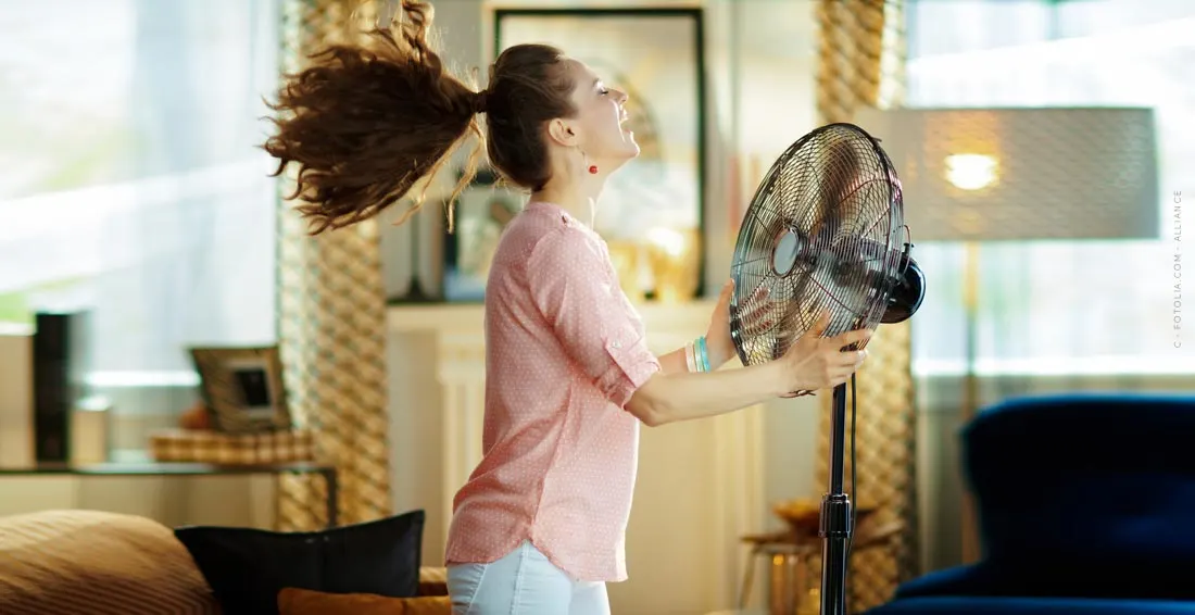 Fan: Good climate for your home! Cheap or expensive? The comparison