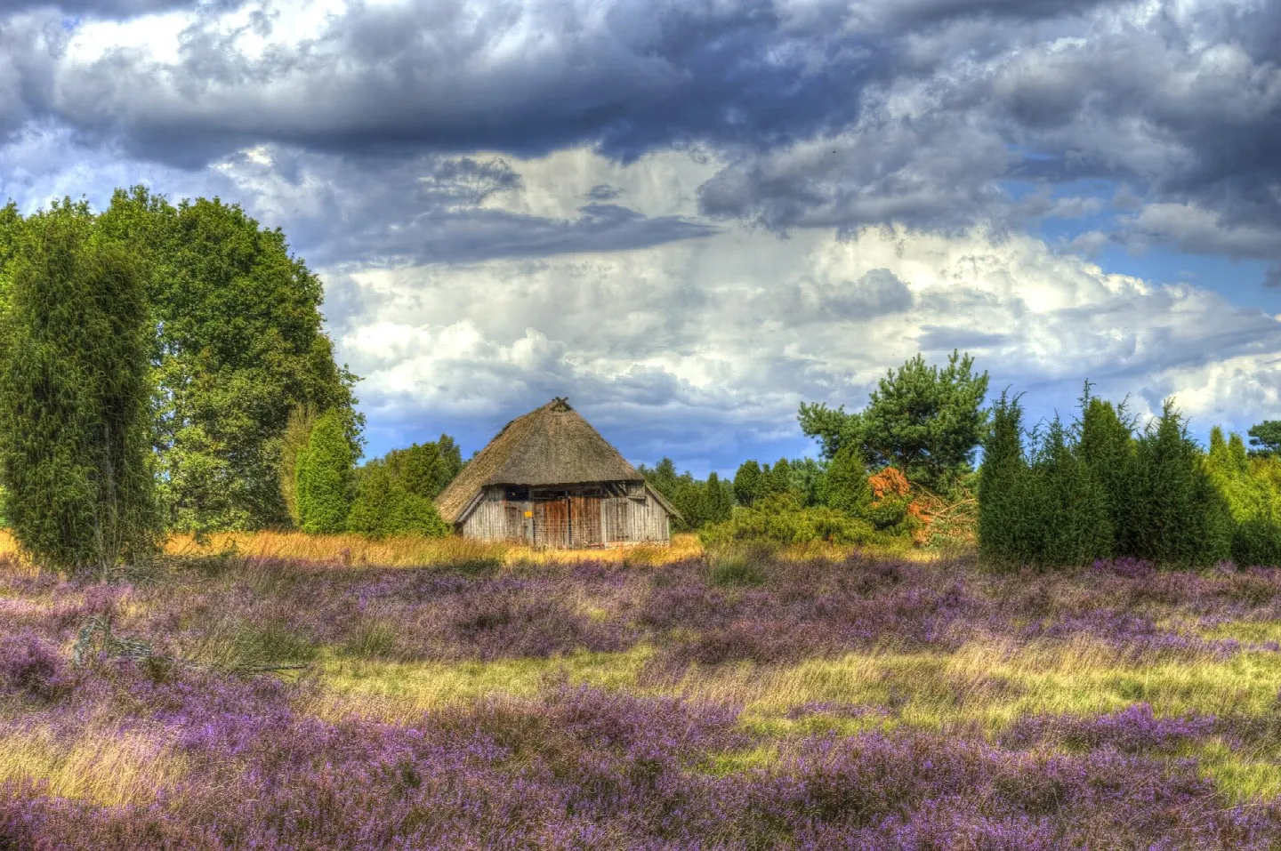 Lüneburger Heide Holiday: Water Fun and Hiking for the Whole Family - 5 Recommendations