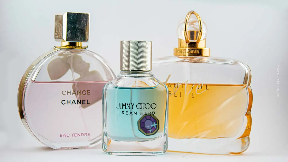 Perfume box: Top 7 fragrances as a gift for Valentine's Day, birthday & co. - our fragrance box