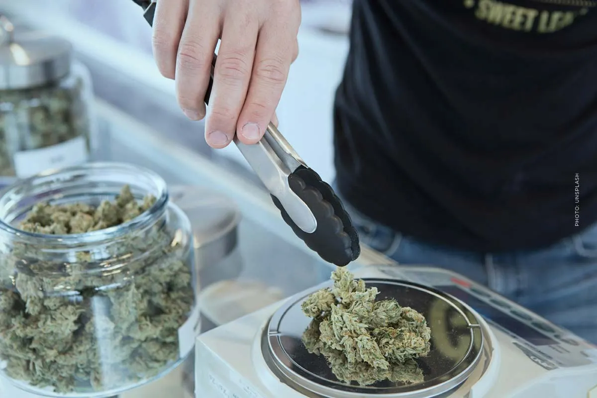 Cannabis for Depression: CBD, Serotonin, and Mood