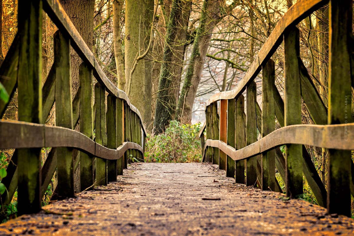 Nature learning trail in the Stadtwald Kühlungsborn with autumn leaves